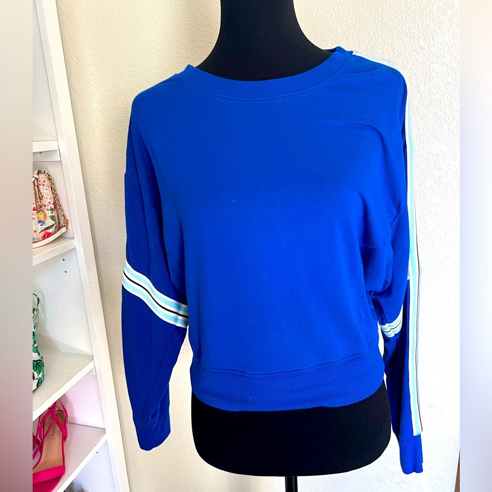 Express Sweater